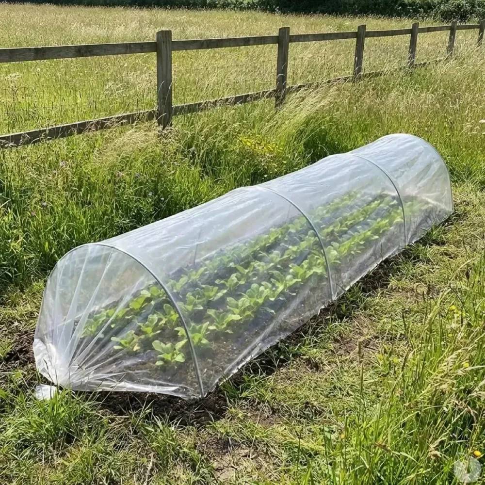Autre - Tunnel de Forçage 3m pour potager - Image 2