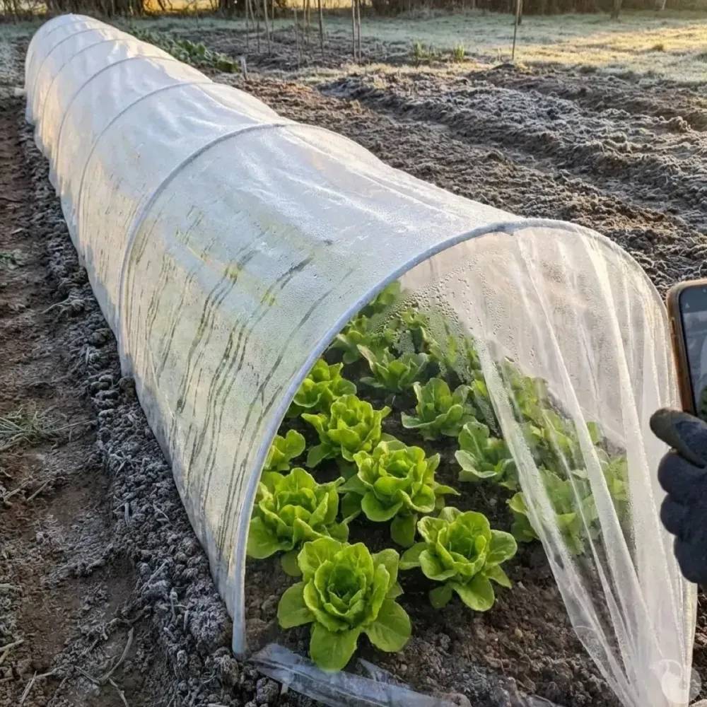 Autre - Tunnel de Forçage 3m pour potager - Image 3