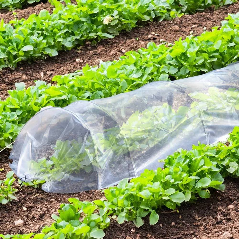 Autre - Tunnel de Forçage 3m pour potager - Image 1