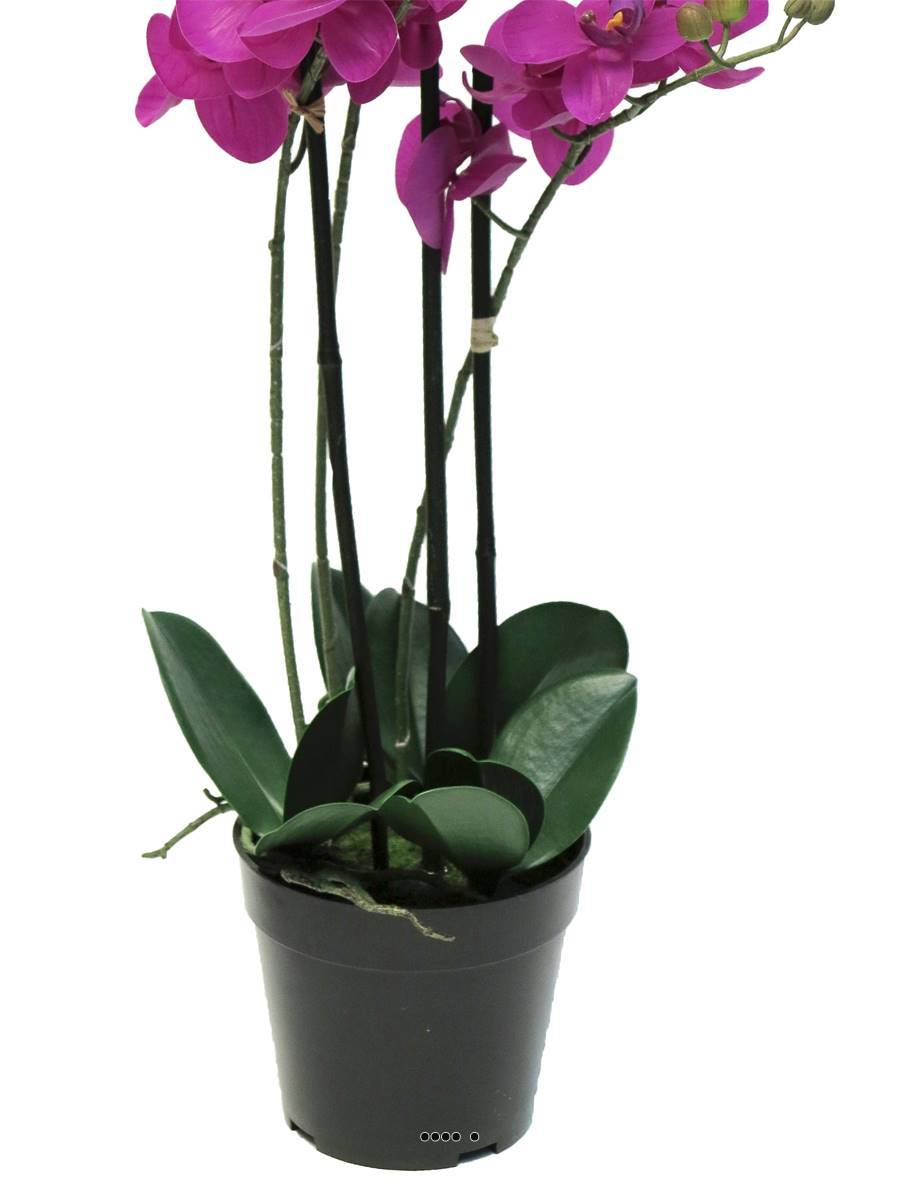Artificielles - Orchidée Phalaenopsis faux 3 hampes &pot H60cm Top Qualité Fushia BEST - couleur: Rose fushia 730 - Imagen 4