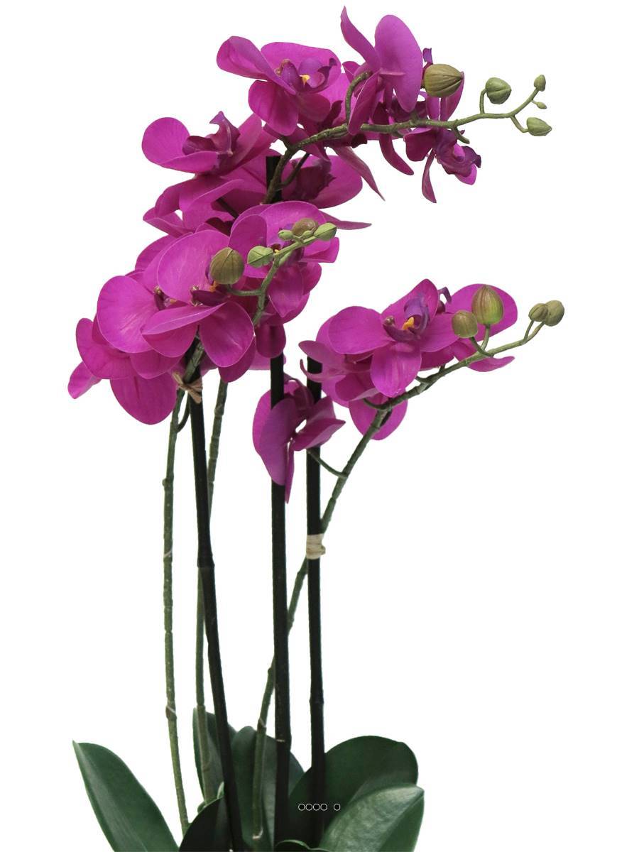 Artificielles - Orchidée Phalaenopsis faux 3 hampes &pot H60cm Top Qualité Fushia BEST - couleur: Rose fushia 730 - Imagen 3