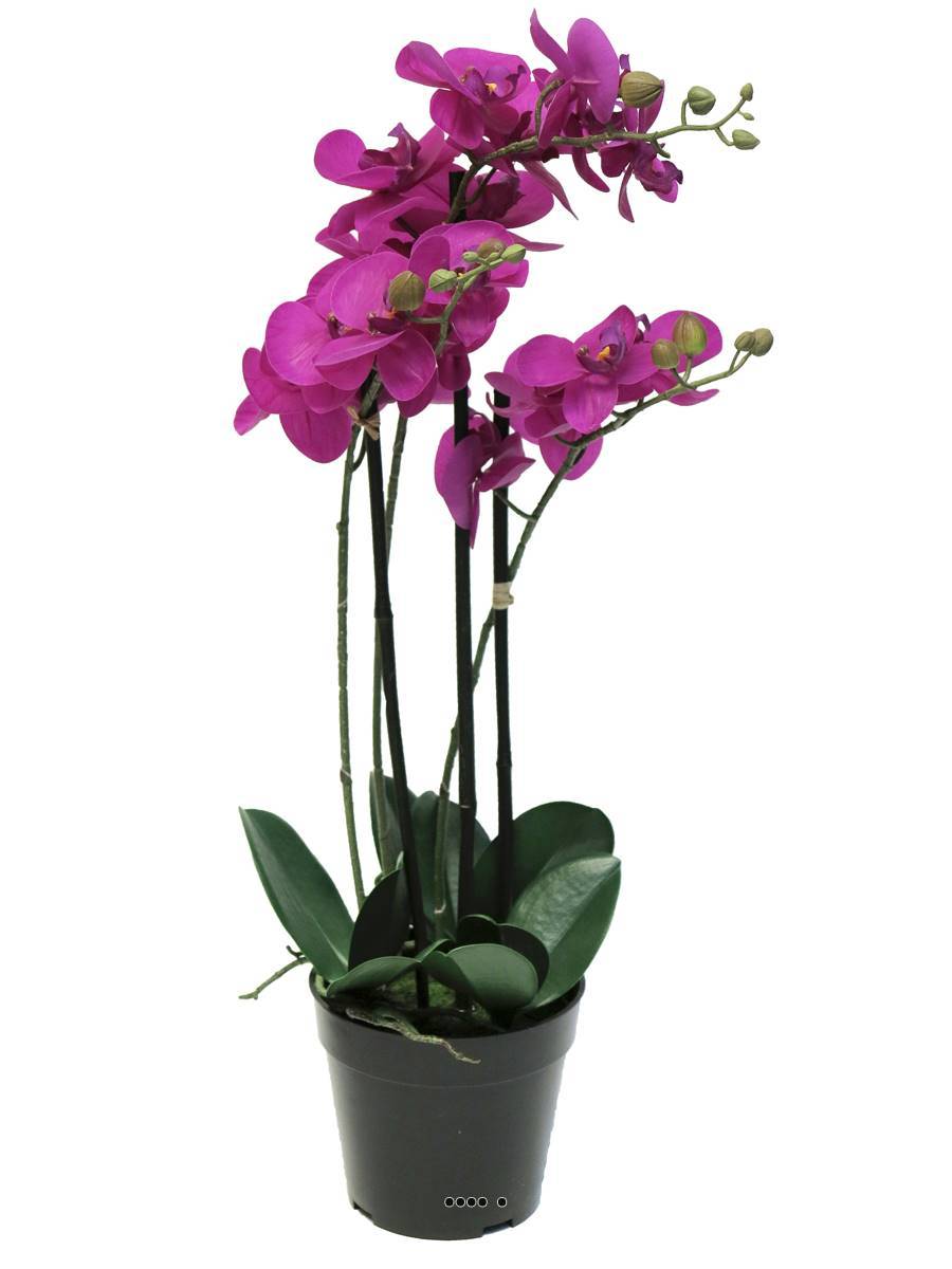 Artificielles - Orchidée Phalaenopsis faux 3 hampes &pot H60cm Top Qualité Fushia BEST - couleur: Rose fushia 730 - Imagen 2