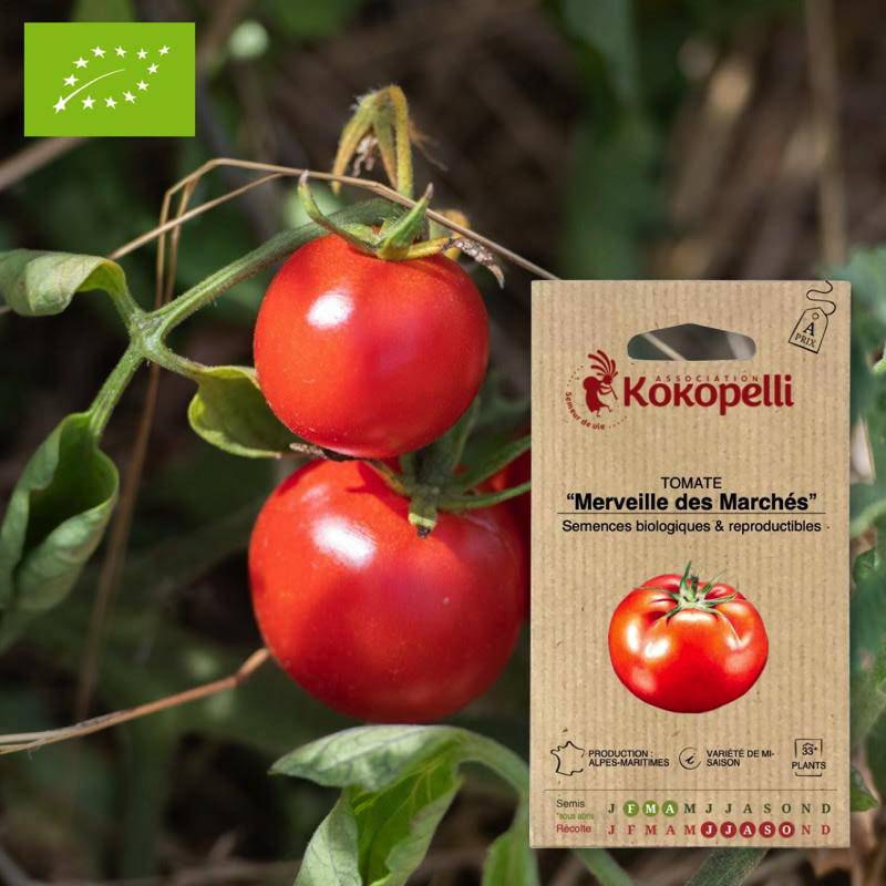 Tomate Merveille des Marchés- Graines bio à semer - Imagen 1
