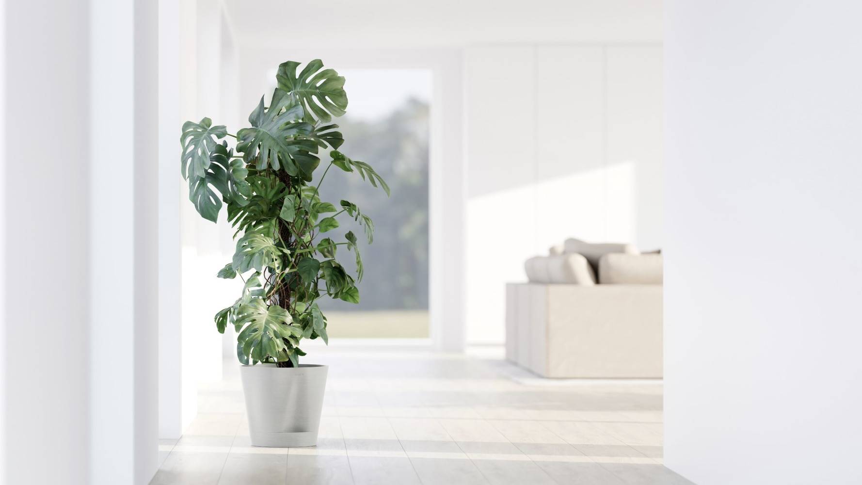Ecopots - Pot Rond Venice 2 Blanc Pur + réservoir d'eau - Ø 30 x H. 26,3 cm - 4 L ECOPOTS - Imagen 3