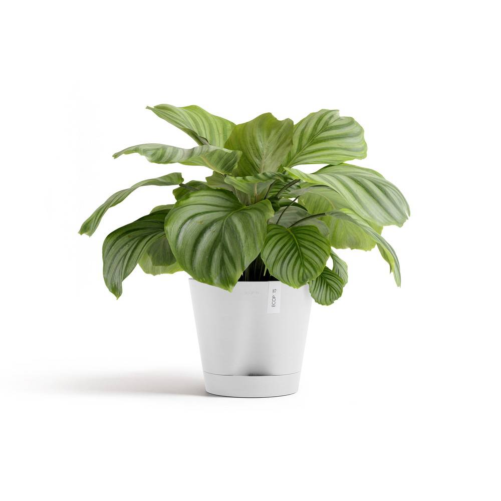 Ecopots - Pot Rond Venice 2 Blanc Pur + réservoir d'eau - Ø 30 x H. 26,3 cm - 4 L ECOPOTS - Imagen 2