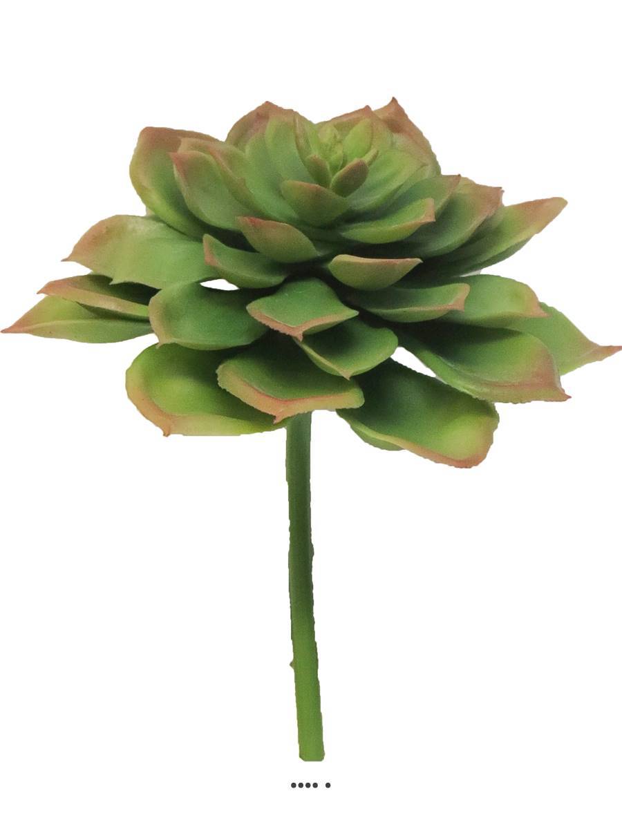 Artificielles - Echeveria glauca artificielle en piquet, H 17 cm, D 13 cm, Vert - BEST - couleur: Vert - Imagen 2