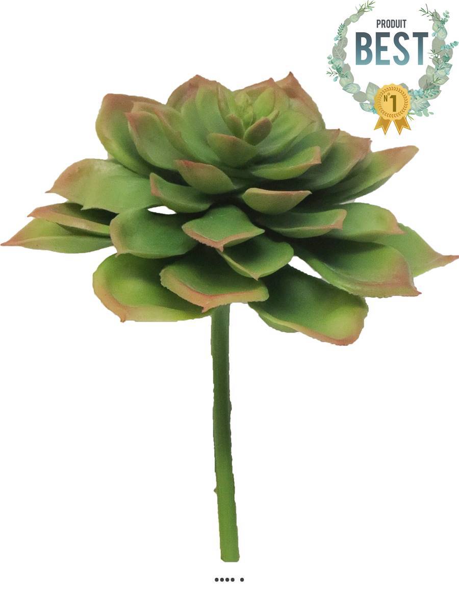 Artificielles - Echeveria glauca artificielle en piquet, H 17 cm, D 13 cm, Vert - BEST - couleur: Vert - Imagen 1