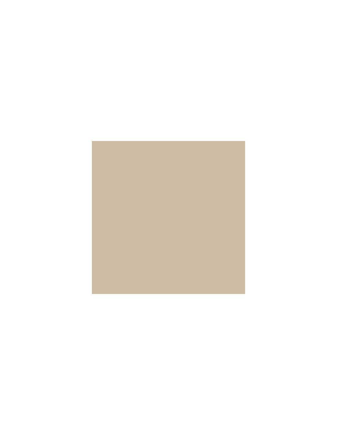 Peinture Acrylique Satin 2.5 Litres Castor - Addict - Image 1