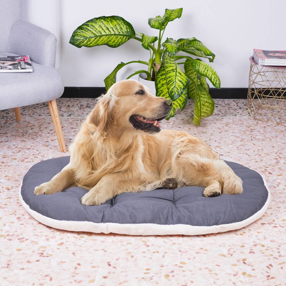 Ferplast - FERPLAST Panier Chien Chat - Coussin pour Chien Chat - Lavable en Machine - Tapis Chien Chat pour Niches et Voitures - Lit pour Chien Chat - Relax, - Imagen 4