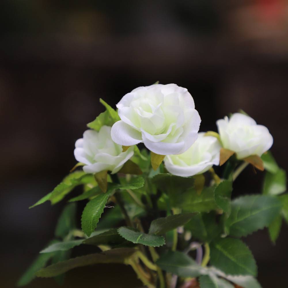 ~Rosier plante fleur artificielle extérieur cimetière tissu blanc 12cm Chemin de campagne - Imagen 3