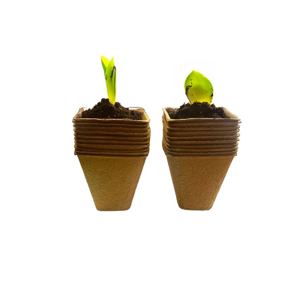 Lot de 20 - pots de semis - Image 1