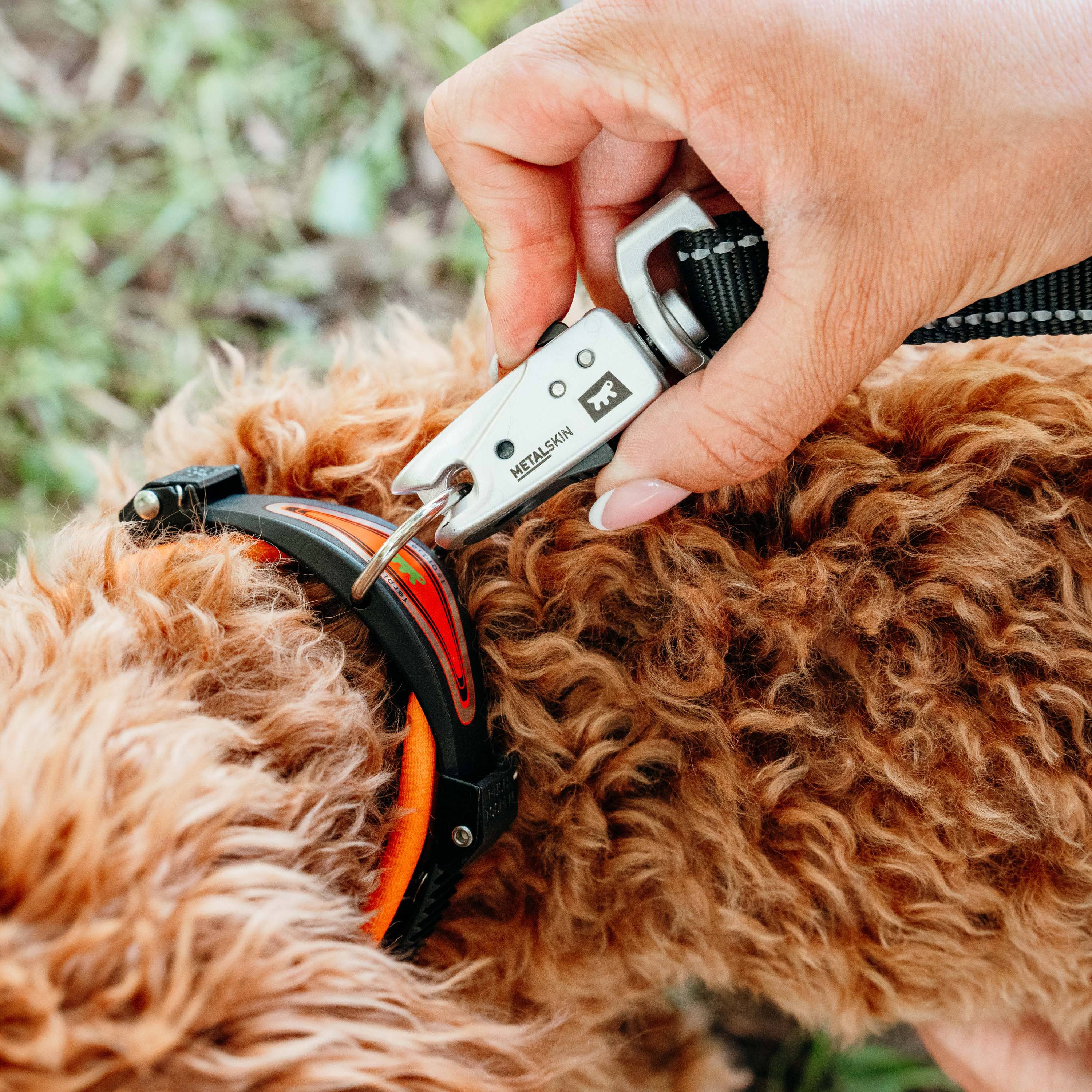 Ferplast - Ferplast Laisse pour chien ERGOFLUO MATIC, Laisse pour petit chien, Mousqueton innovant avec mécanisme magnétique, Poignée rembourrée, Nylon. Taille - Imagen 3