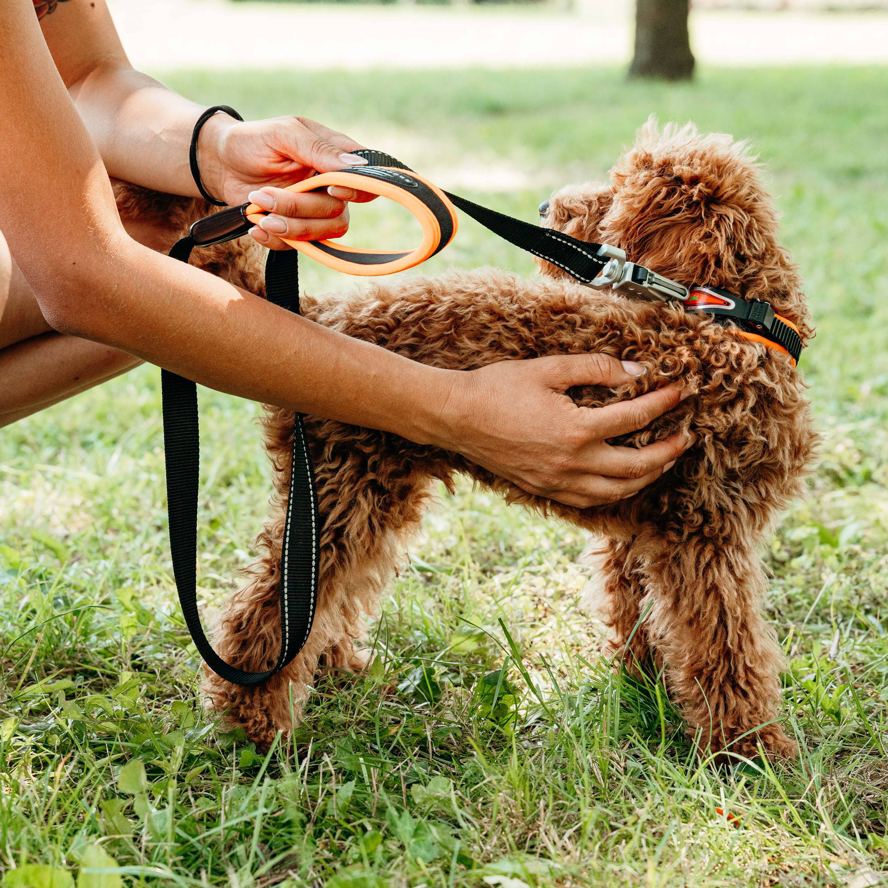 Ferplast - Ferplast Laisse pour chien ERGOFLUO MATIC, Laisse pour petit chien, Mousqueton innovant avec mécanisme magnétique, Poignée rembourrée, Nylon. Taille - Imagen 4