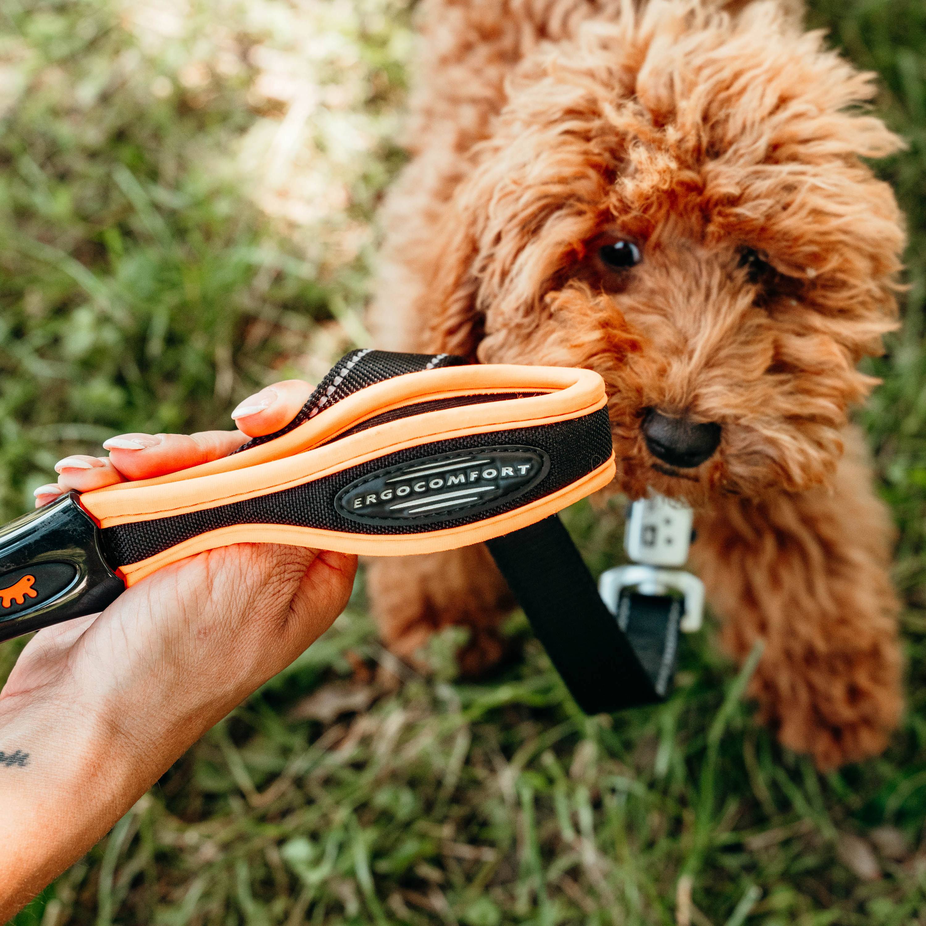 Ferplast - Ferplast Laisse pour chien ERGOFLUO MATIC, Laisse pour petit chien, Mousqueton innovant avec mécanisme magnétique, Poignée rembourrée, Nylon. Taille - Imagen 5