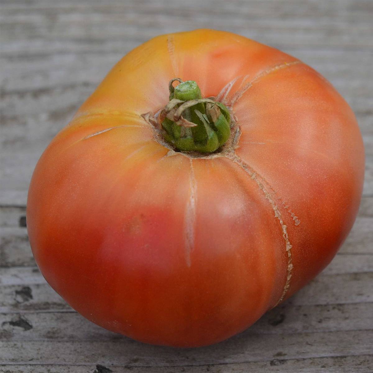 Tomate Cherokee Purple Bio - Ferme de Sainte Marthe le sachet de 50 graines environ