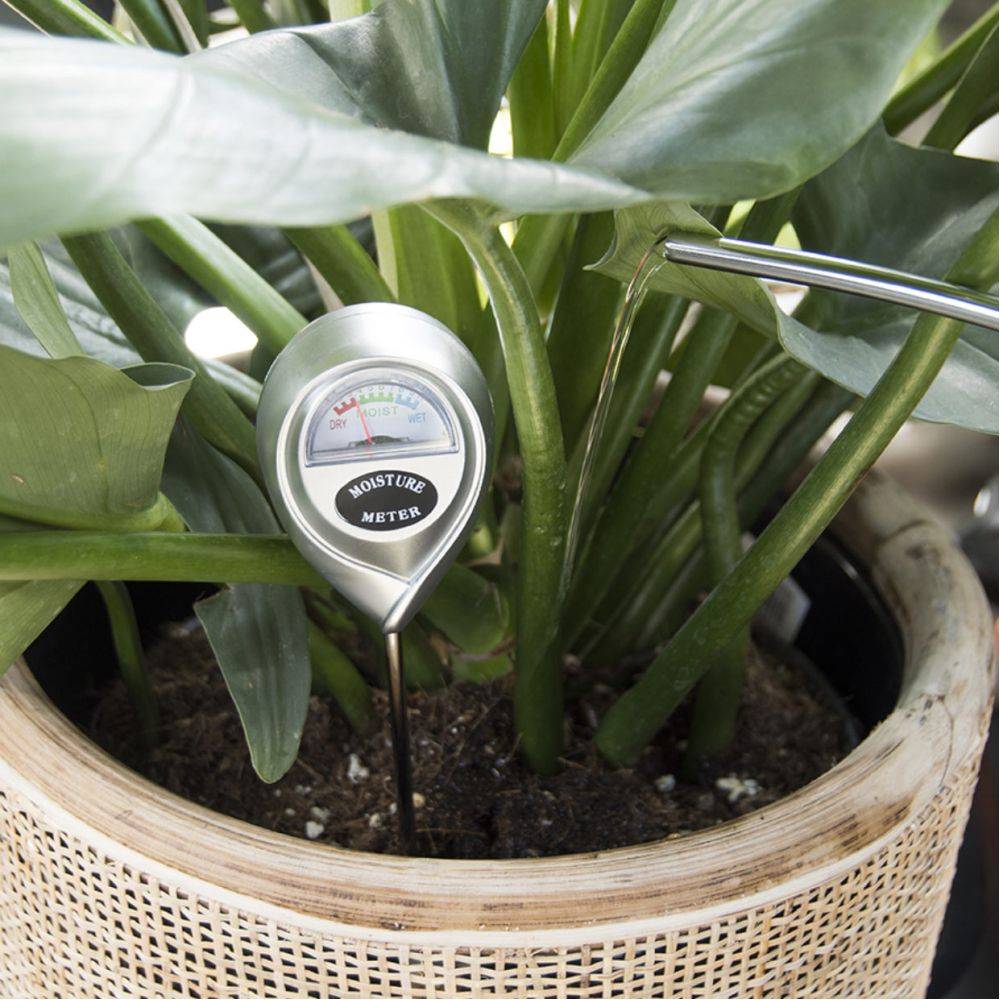 Esschert Design - Hygromètre pour plantes d'intérieur Garden Esschert Design - Imagen 2
