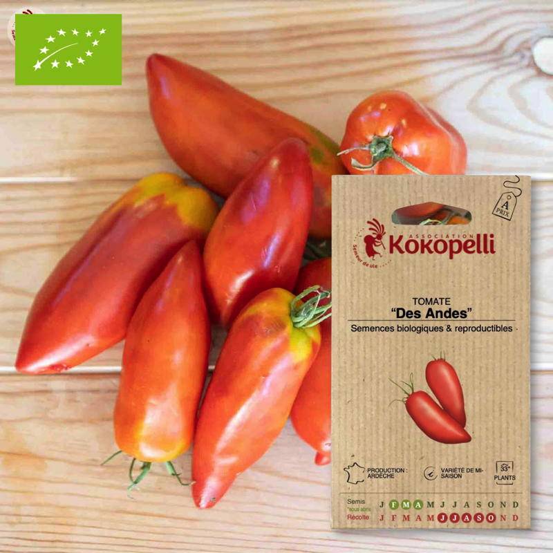 Tomate Des Andes- Graines bio à semer - Imagen 1