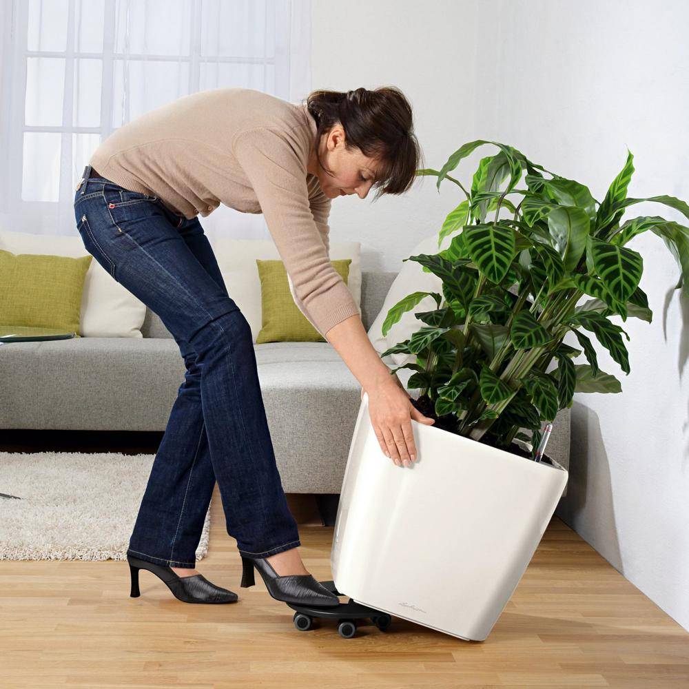Lechuza - Pot Quadro Premium LS 43 - kit complet, blanc brillant 43 cm Lechuza - Imagen 5