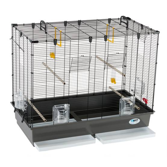 Ferplast - Ferplast Grande Cage pour Canaris, Perruches et Oiseaux Exotiques PIANO 6, avec Mangeoires Pivotantes et Accessoires - Image 5