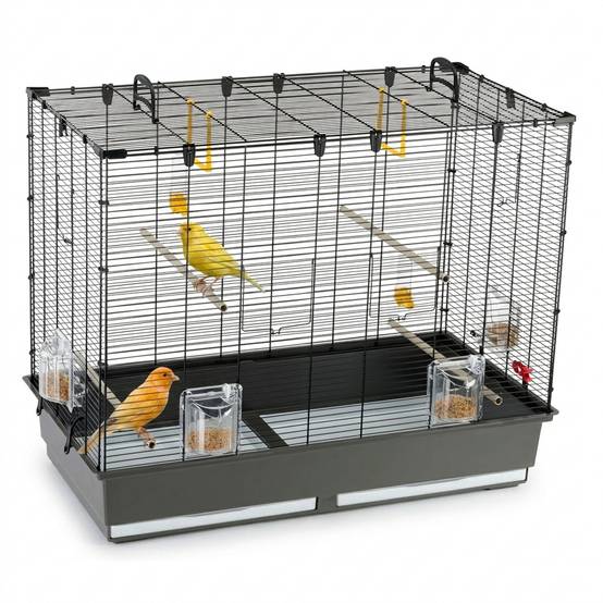 Ferplast - Ferplast Grande Cage pour Canaris, Perruches et Oiseaux Exotiques PIANO 6, avec Mangeoires Pivotantes et Accessoires - Image 4