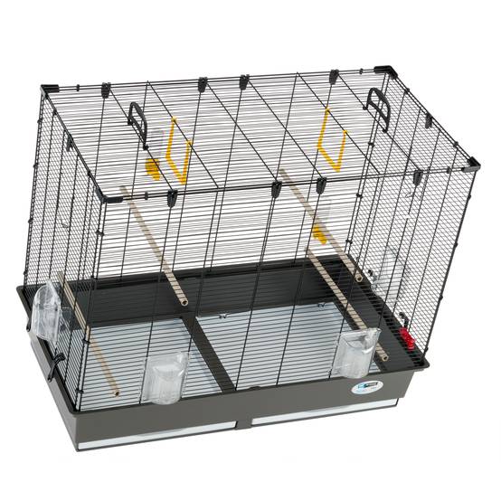 Ferplast - Ferplast Grande Cage pour Canaris, Perruches et Oiseaux Exotiques PIANO 6, avec Mangeoires Pivotantes et Accessoires - Image 7