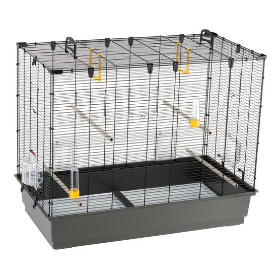 Ferplast - Ferplast Grande Cage pour Canaris, Perruches et Oiseaux Exotiques PIANO 6, avec Mangeoires Pivotantes et Accessoires - Image 6