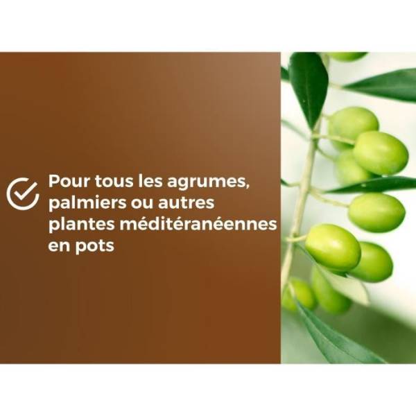 Or Brun - Terreau Agrumes Plantes Méditeranéennes Uab 6 L / Nc - Or Brun - Image 5