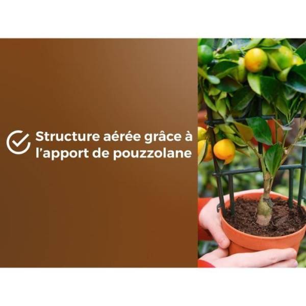 Or Brun - Terreau Agrumes Plantes Méditeranéennes Uab 6 L / Nc - Or Brun - Image 3