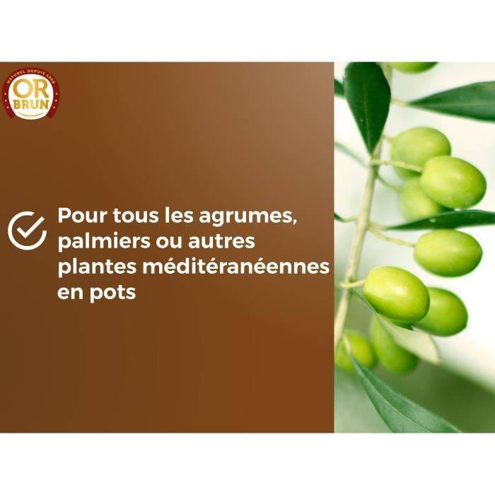 Or Brun - Terreau Agrumes Plantes Méditeranéennes Uab 6 L / Nc - Or Brun - Image 6