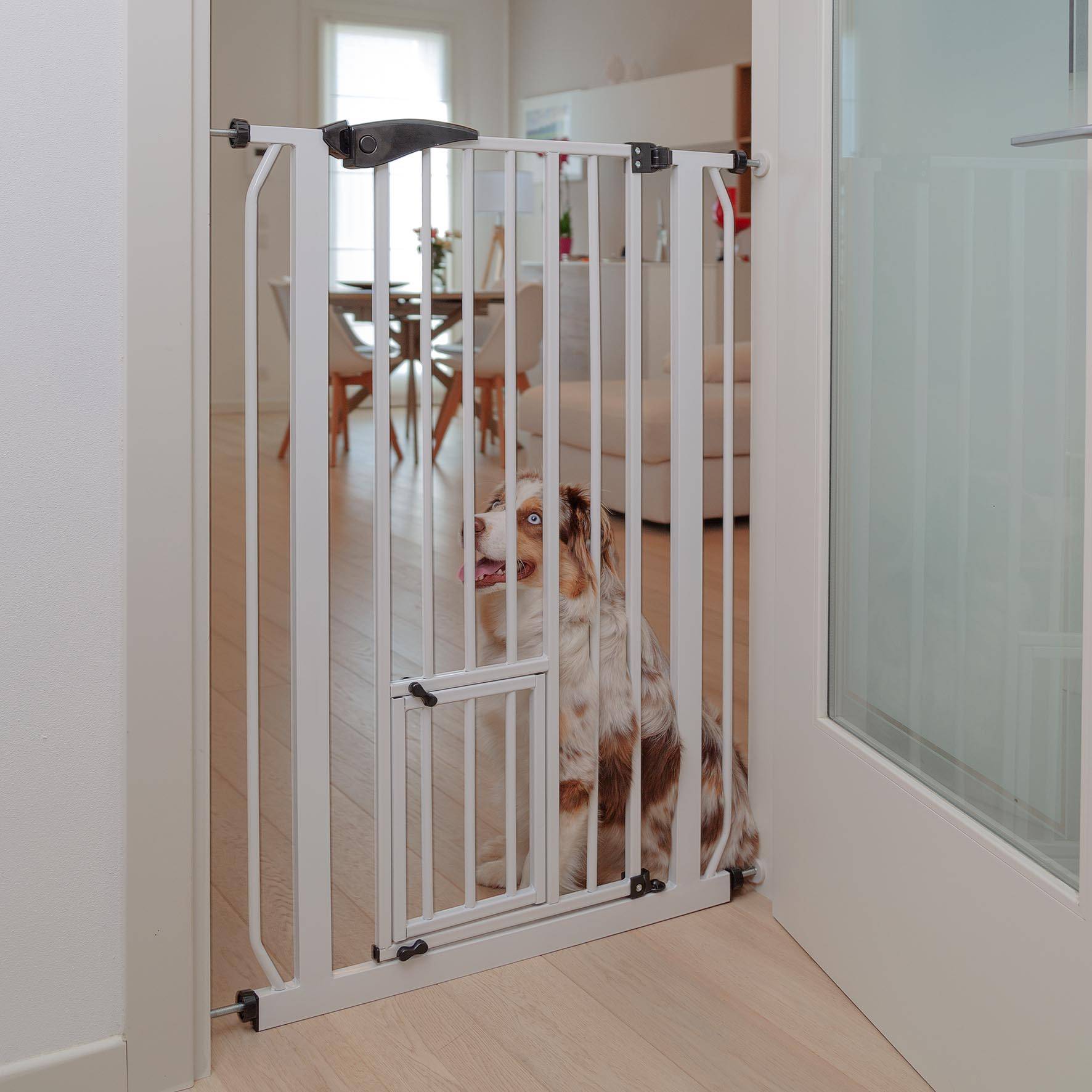 Ferplast - Ferplast Porte, barrière séparation pour chiens et chats PET GATE, grille d'intérieur, métal robuste verns blanc et plastique, fermeture de sécurité, - Imagen 3