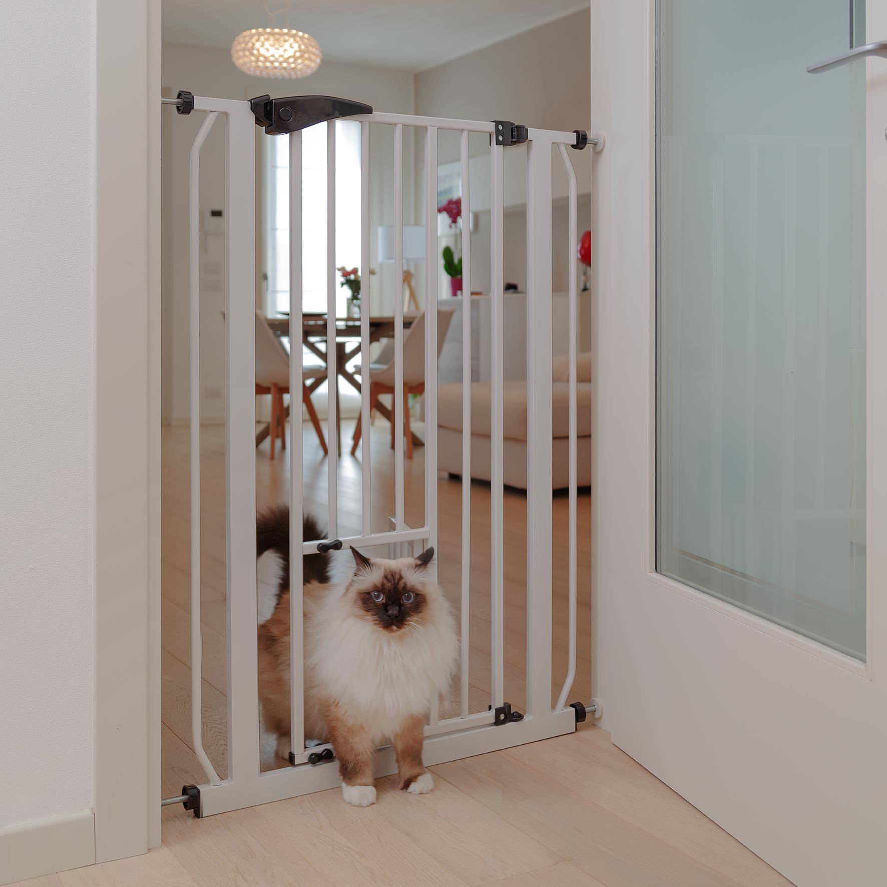 Ferplast - Ferplast Porte, barrière séparation pour chiens et chats PET GATE, grille d'intérieur, métal robuste verns blanc et plastique, fermeture de sécurité, - Imagen 5