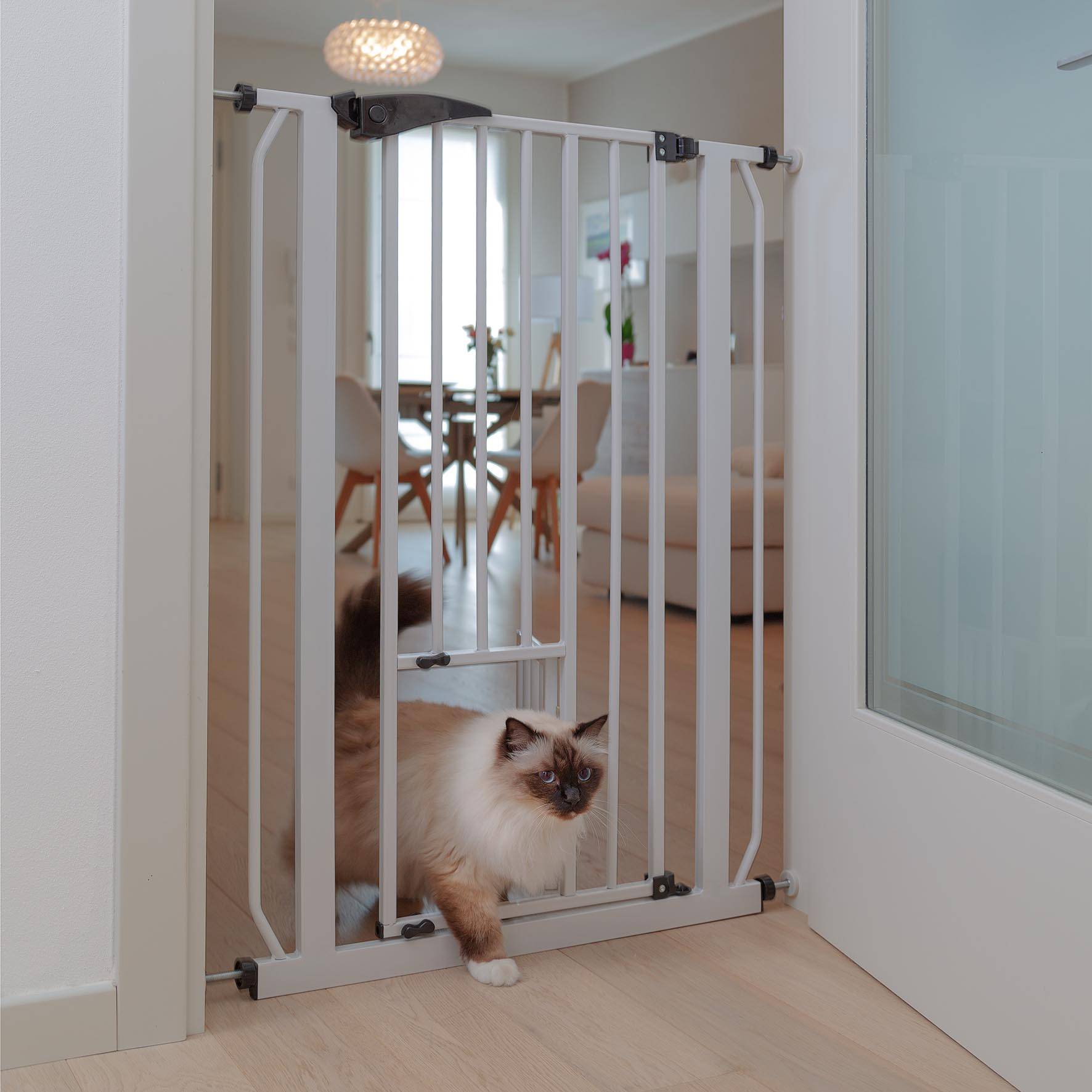 Ferplast - Ferplast Porte, barrière séparation pour chiens et chats PET GATE, grille d'intérieur, métal robuste verns blanc et plastique, fermeture de sécurité, - Imagen 6