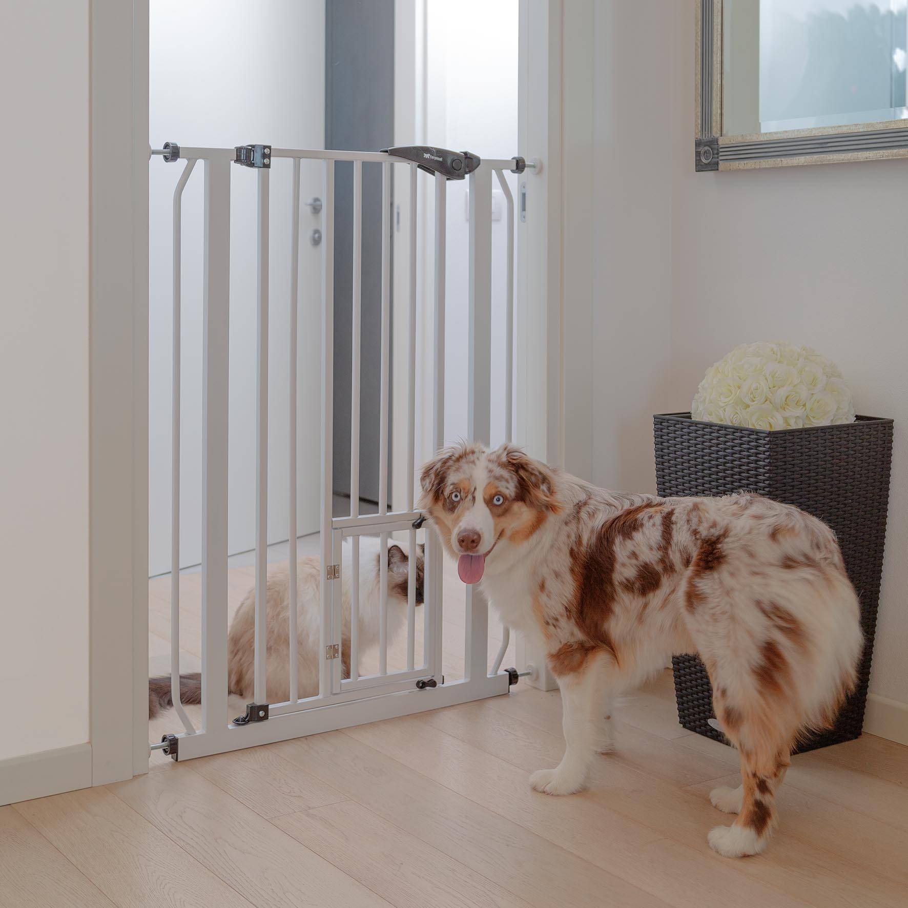 Ferplast - Ferplast Porte, barrière séparation pour chiens et chats PET GATE, grille d'intérieur, métal robuste verns blanc et plastique, fermeture de sécurité, - Imagen 4