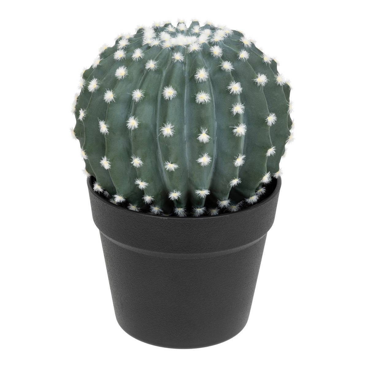 Atmosphera - Cactus rond "Exotic Panama" H25cm vert - Atmosphera Créateur d'intérieur - Image 1