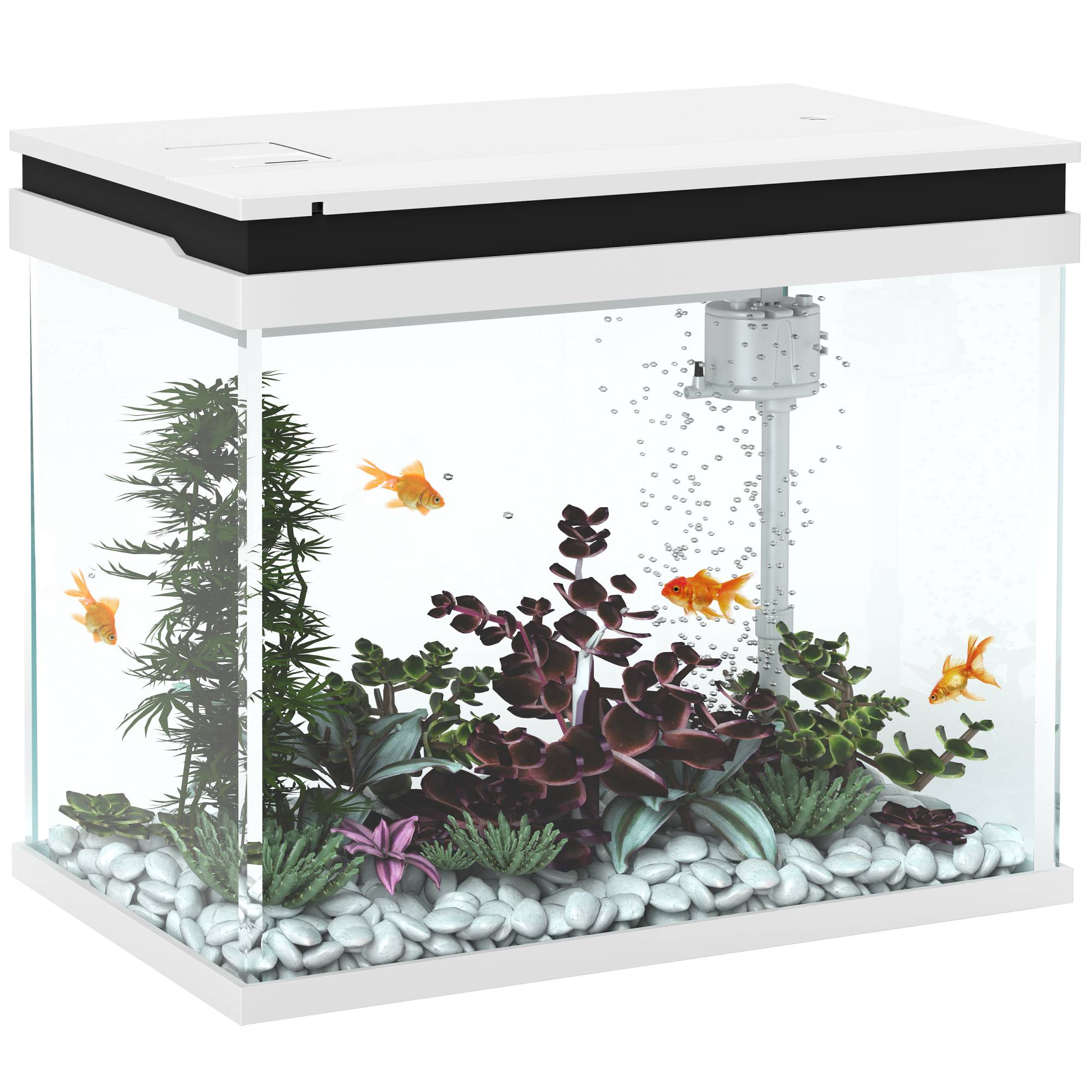 Sans Marque - Aquarium 43L en Verre Trempé avec Tapis de Protection Pour Poissons, Crevettes, Tortues, 50 x 30 x 30 cm, Transparent - Image 1