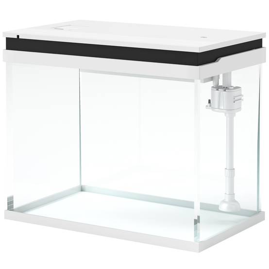 Sans Marque - Aquarium 43L en Verre Trempé avec Tapis de Protection Pour Poissons, Crevettes, Tortues, 50 x 30 x 30 cm, Transparent - Image 2