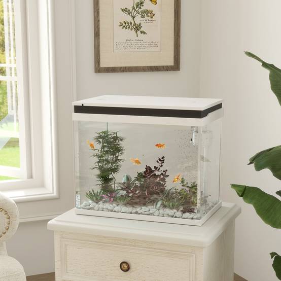 Sans Marque - Aquarium 43L en Verre Trempé avec Tapis de Protection Pour Poissons, Crevettes, Tortues, 50 x 30 x 30 cm, Transparent - Image 3