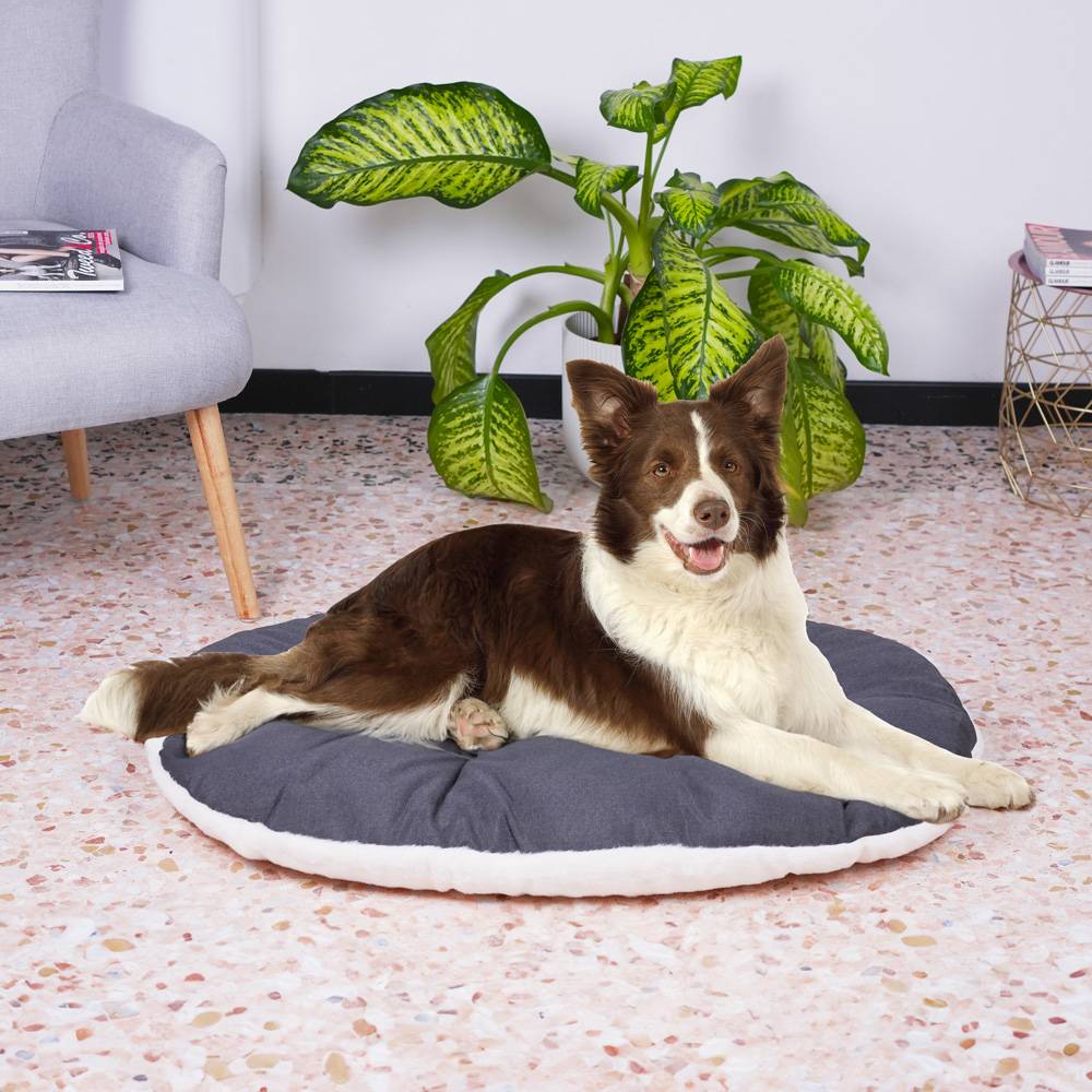 Ferplast - FERPLAST Panier Chien Chat - Coussin pour Chien Chat - Lavable en Machine - Tapis Chien Chat pour Niches et Voitures - Lit pour Chien Chat - Relax, - Imagen 4
