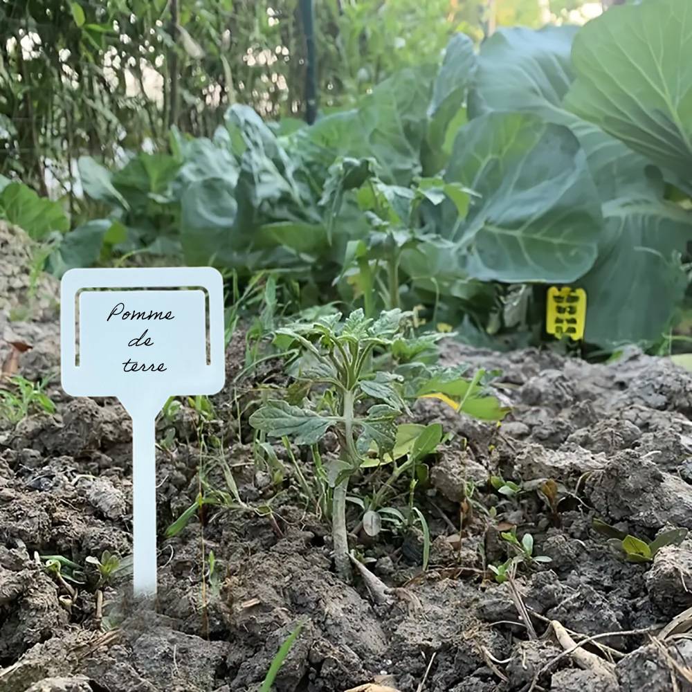 Lot de 10 - etiquettes de jardin à planter - Image 2