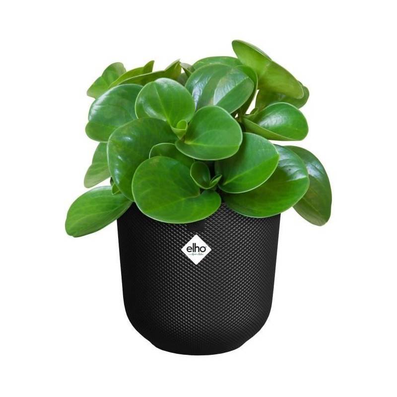 Elho - Pot De Fleur - Elho - Jazz Rond - Noir - ø 26 X H 24 Cm - Intérieur - 100% Recyclé - Imagen 4