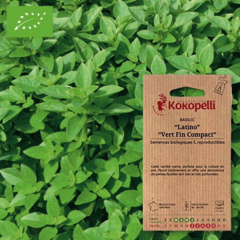 Association Kokopelli - Basilic Latino Vert- Graines bio à semer - Image 1