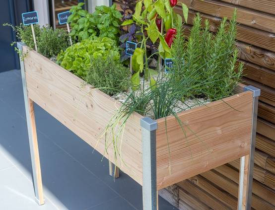 Mon Petit Potager - Bac potager sur pieds Design - Bois Douglas non traité - 100 x 45 x H80cm - mon PETIT POTAGER - Image 3