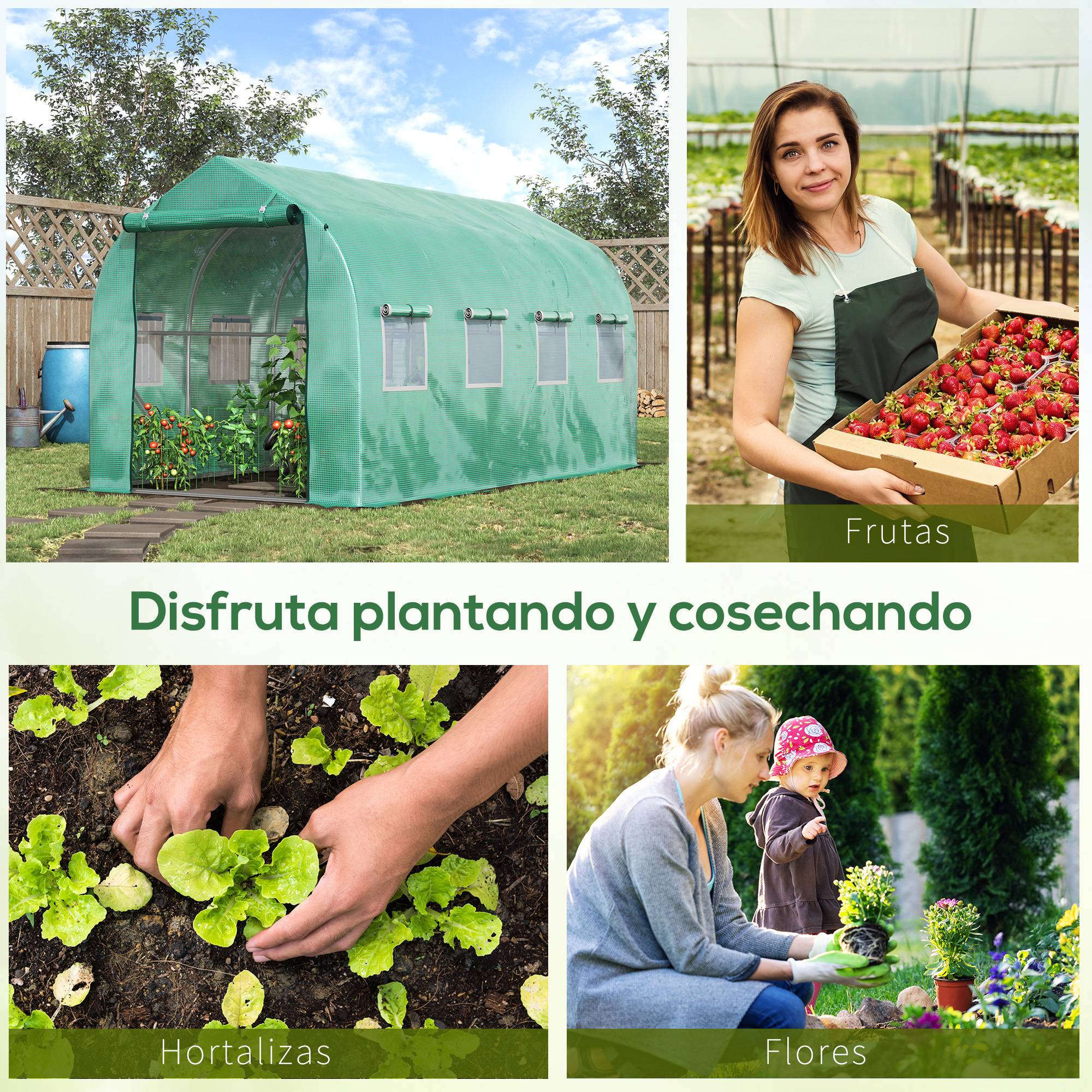 Serre tunnel de 4 x 2 x 2 m avec 8 fenêtres grillagées et une porte, idéale pour un potager sur une terrasse ou dans un jardin. - Image 9