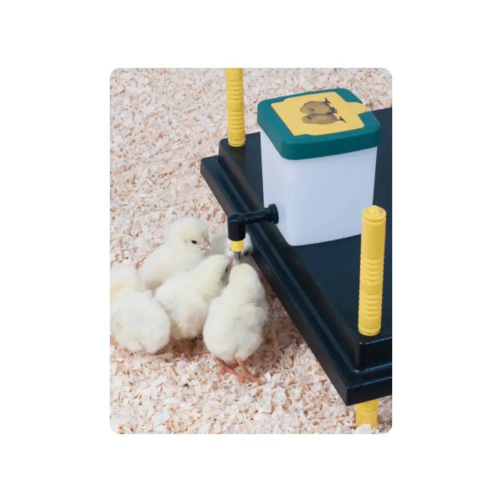 Chick'a - Panneau chauffant, 25x25 cm, pour poussin - Image 4