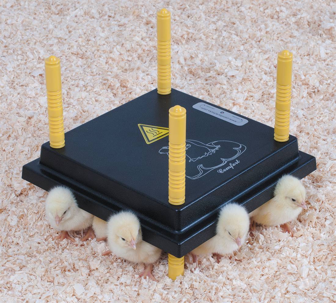 Chick'a - Panneau chauffant, 25x25 cm, pour poussin - Image 2