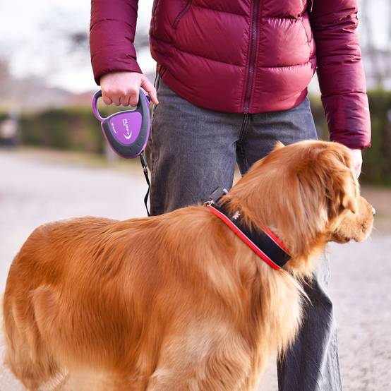Ferplast - Ferplast Laisse Chien Enrouleur FLIPPY TECH, Laisse pour Grands Chiens jusqu'à 50 Kg. Sangle Extensible max 5 m. Bouton de verrouillage et de - Imagen 3