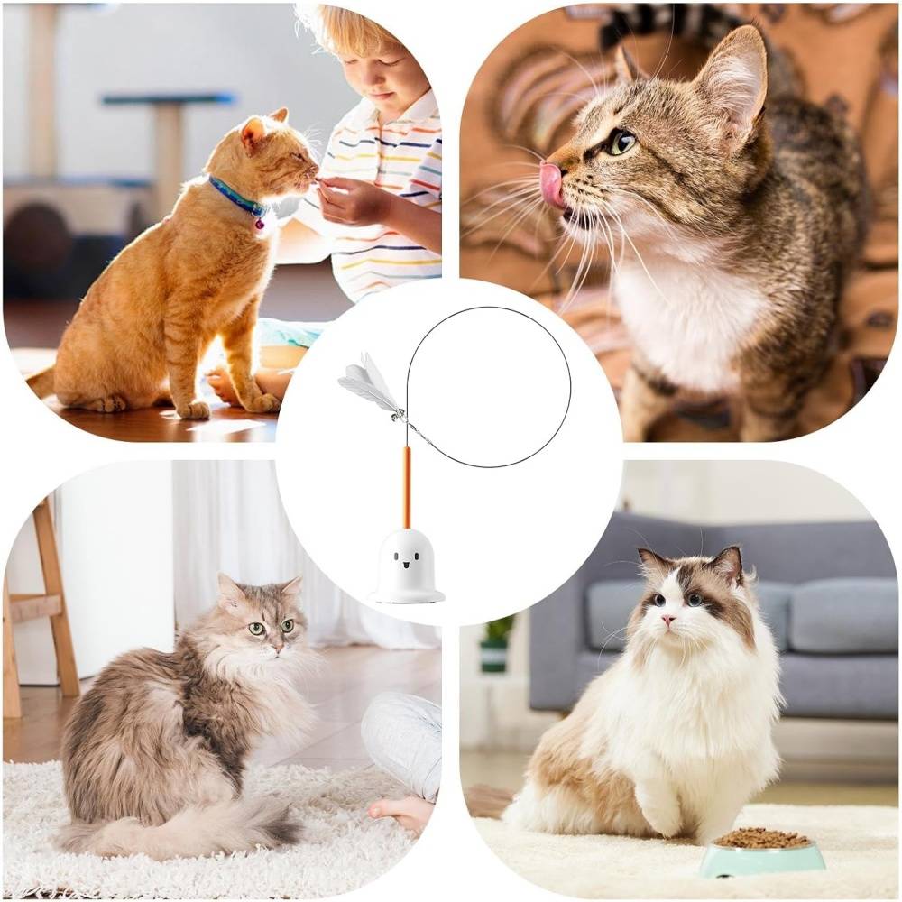 Jouets à Plumes Pour Chats Adsorption Rotative Antidérápant, Surfaces Lisses Blancs - Lytech - Image 4
