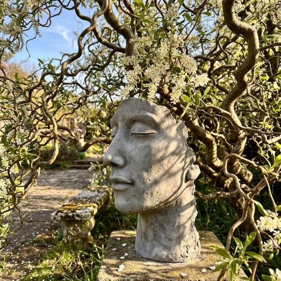 Statue visage homme extérieur petit format - Gris beton 53 cm - Jardinex - Image 3