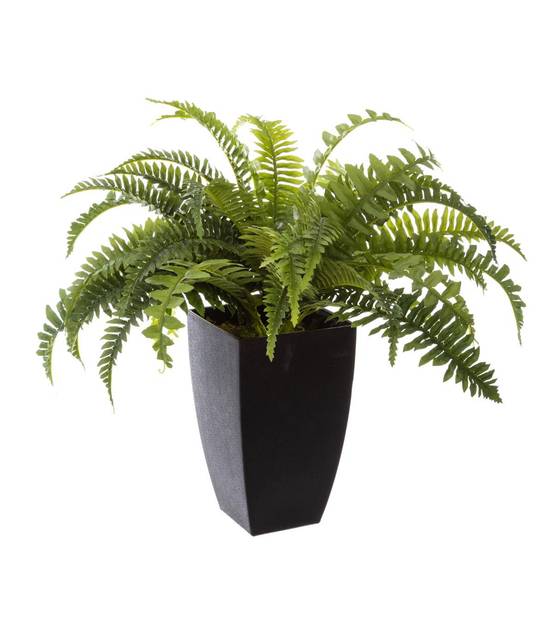 Plante artificielle Fougères en pot H 55 cm - Image 1