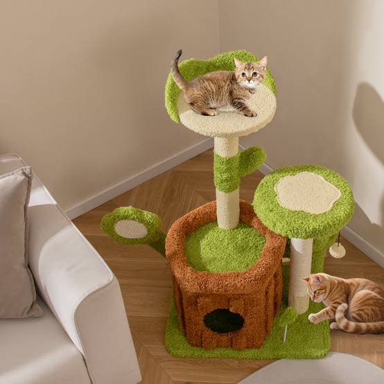 Petit Arbre à Chat 92 cm, Arbre a Chat Cactus, Condo, Poteaux et Planche à Griffer en Sisal, 4 Plateformes, Tour pour Chaton, Pompon, Jouet à Ressort - Image 2